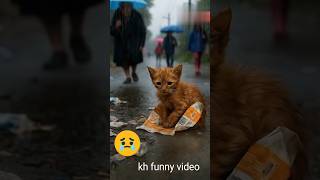 She Gave Everything to a Stray Cat… The Ending Is Devastating 😢 #heartbreaking #emotional