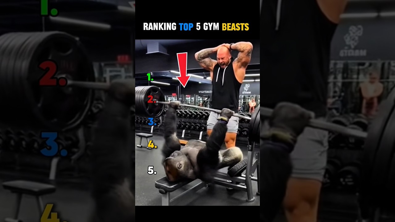 Ranking Top 5 Strongest Animals in the Gym 💪 