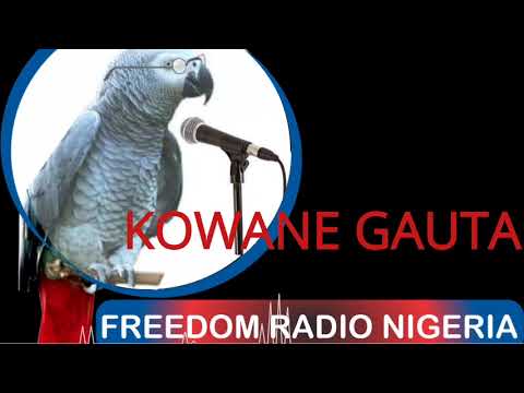 Kowane Gauta: Ibrahim Ishaq Rano 08-09-2021