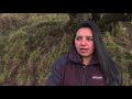 INDAP/PRODEMU: Experiencia con Mujeres Rurales en Araucanía Vol. VI