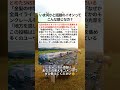 ㊗️20万再生‼️いま何かと話題のイオンってこんな感じなの？ #政治 #政治ニュース #時事ネタ
