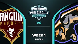 PALADINS Pro Circuit: Team Project vs Sanguine (Phase 2 Week 1)