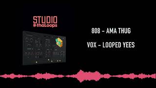 Studio - Sample Based Instrument Plugin By Thaloops