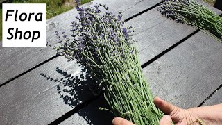 Lavendel drei mal im Jahr schneiden und ernten + schöne Lavendel Deko selber machen ❁ Flora-Shop