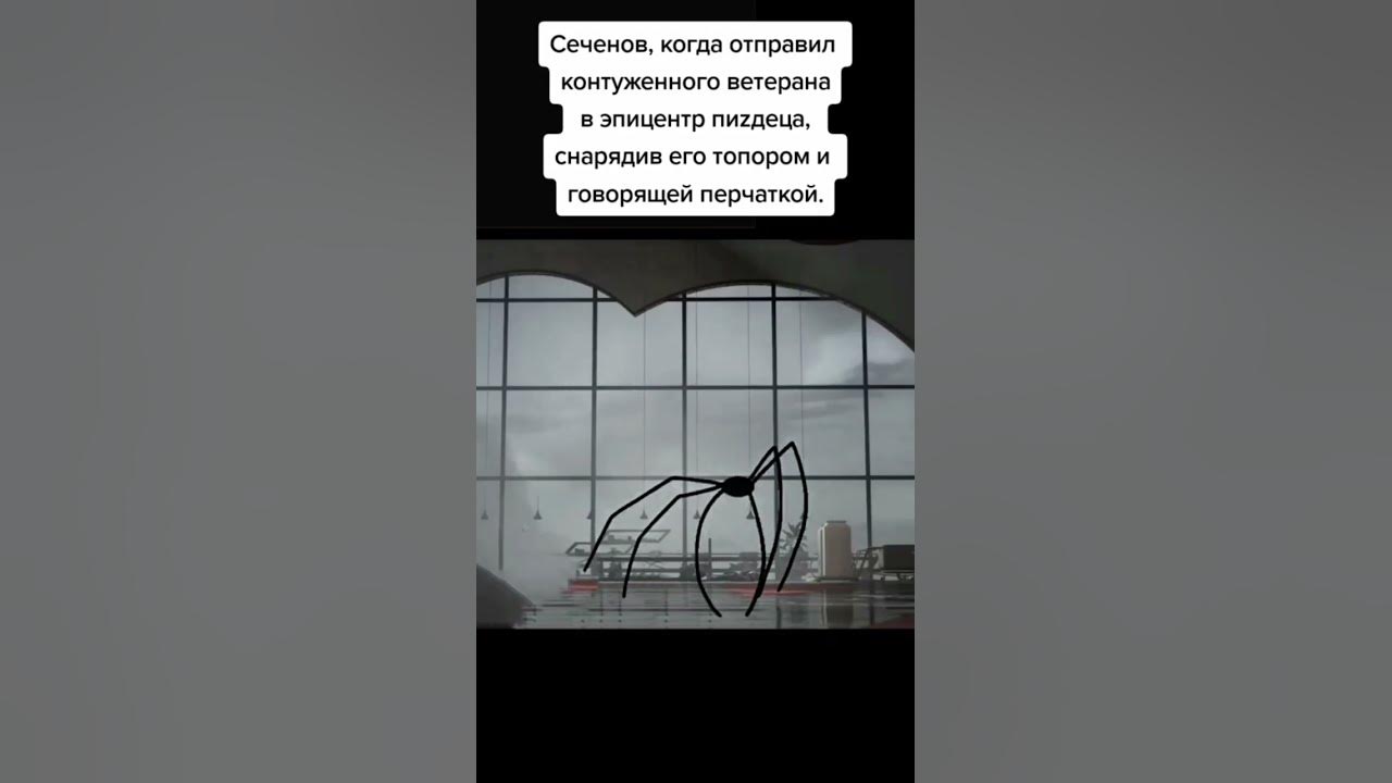 #сеченов#полимер#атомик - YouTube