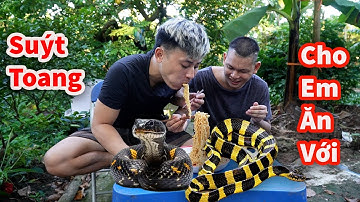 Hậu Cáo - Rủ Em Trai Bị Tồ Bắt Cá Hú Hồn Chạm Mặt Rắn Cạp Long