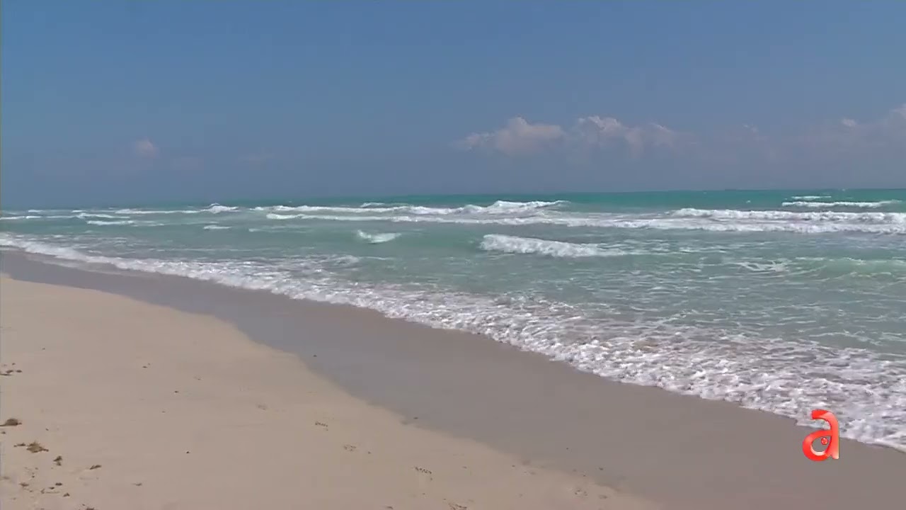 americateve | Reportan alta concentración de materia fecal en la playa de Miami Beach