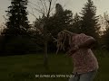 Dice Ailes Zombie Visualizer 
