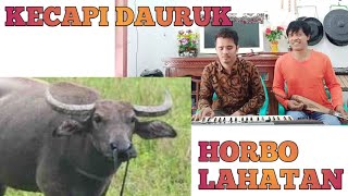 HORBO LAHATAN. KECAPI DAURUK