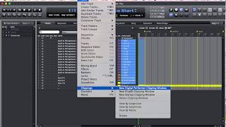 MOTU DP9 Digital Performer Clipping Clippings window feature