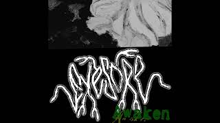 The Daniel Larson toothbrush incident Net Worth