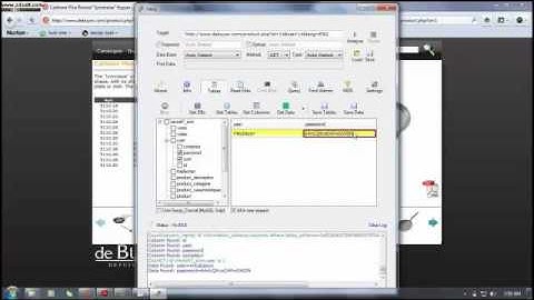 SQL injection using havij and sqlmap