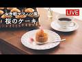 桜の焼き菓子・マフィン風を作ります【LIVE配信】