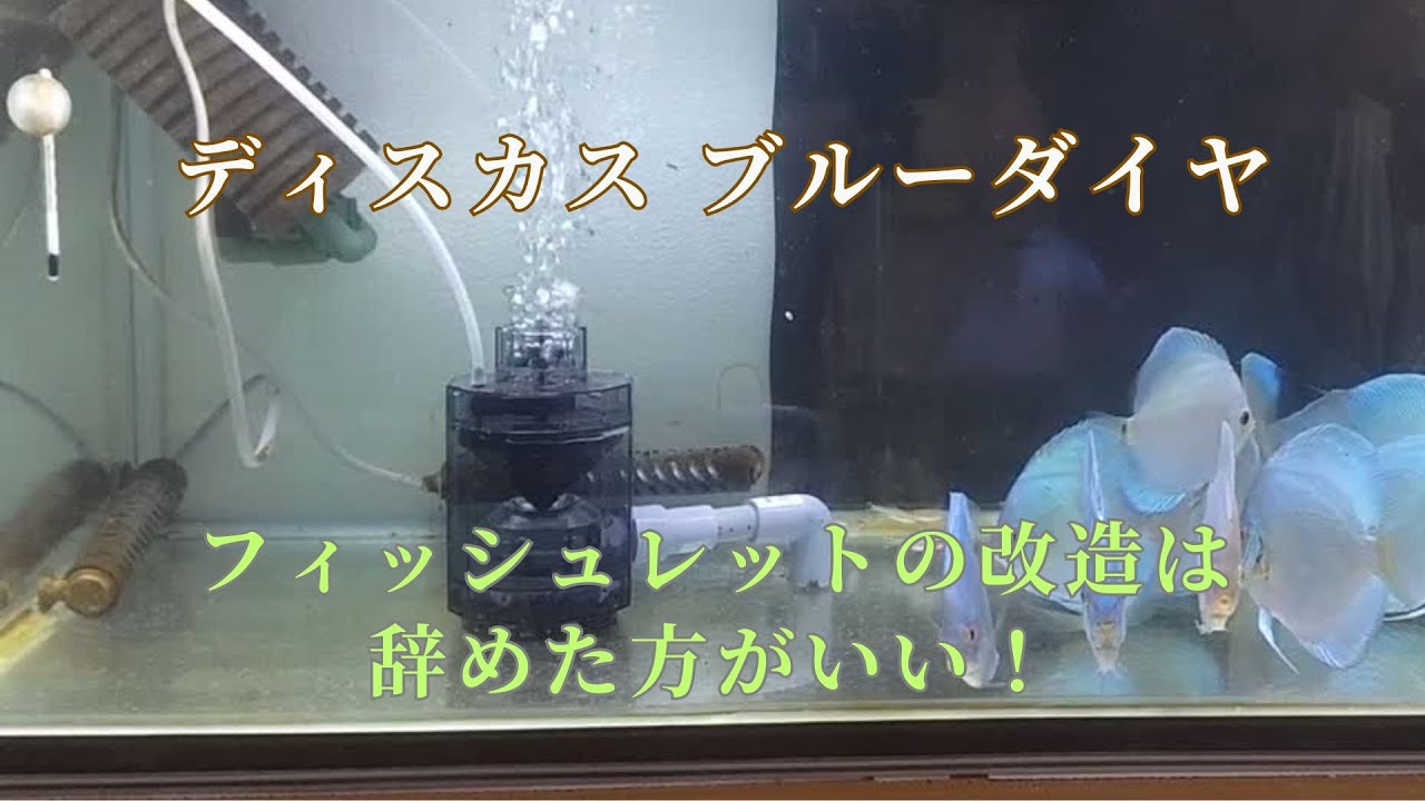 【27】フィッシュレット 改造大失敗！いらないのかも？！