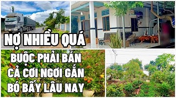 Nợ Nần Nhiều Quá Buộc Phải Bán Luôn Cơ Ngơi Gầy Dựng Biết Bao Tâm Huyết Ở Bà Rịa Vũng Tàu