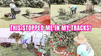 OVERGROWN YARD TRANSFORMATION WITH A SIDE OF HEAT EXHAUSTION MOBILE HOME LIVING KIMI COPE