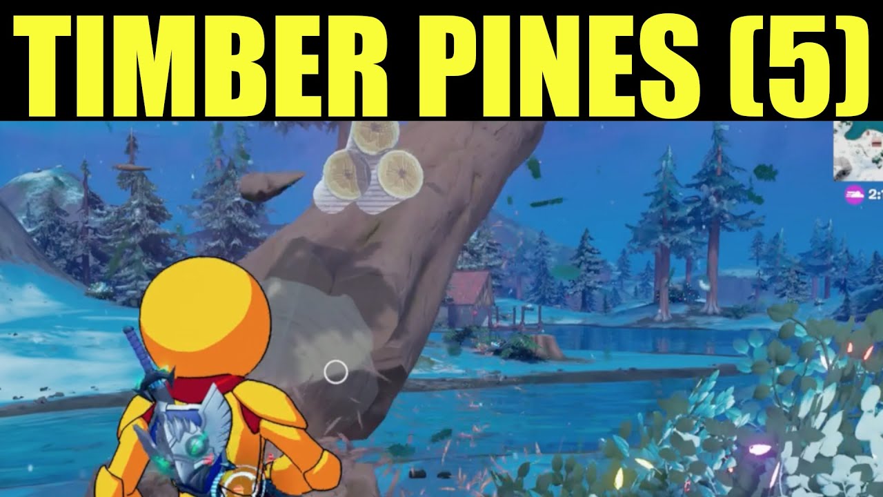 Timber pines login Updated in 2022