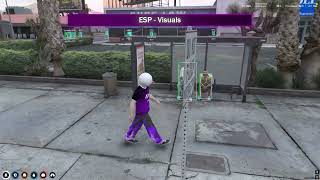 FREE FiveM Mod Menu Showcase - Undetected Gameplay