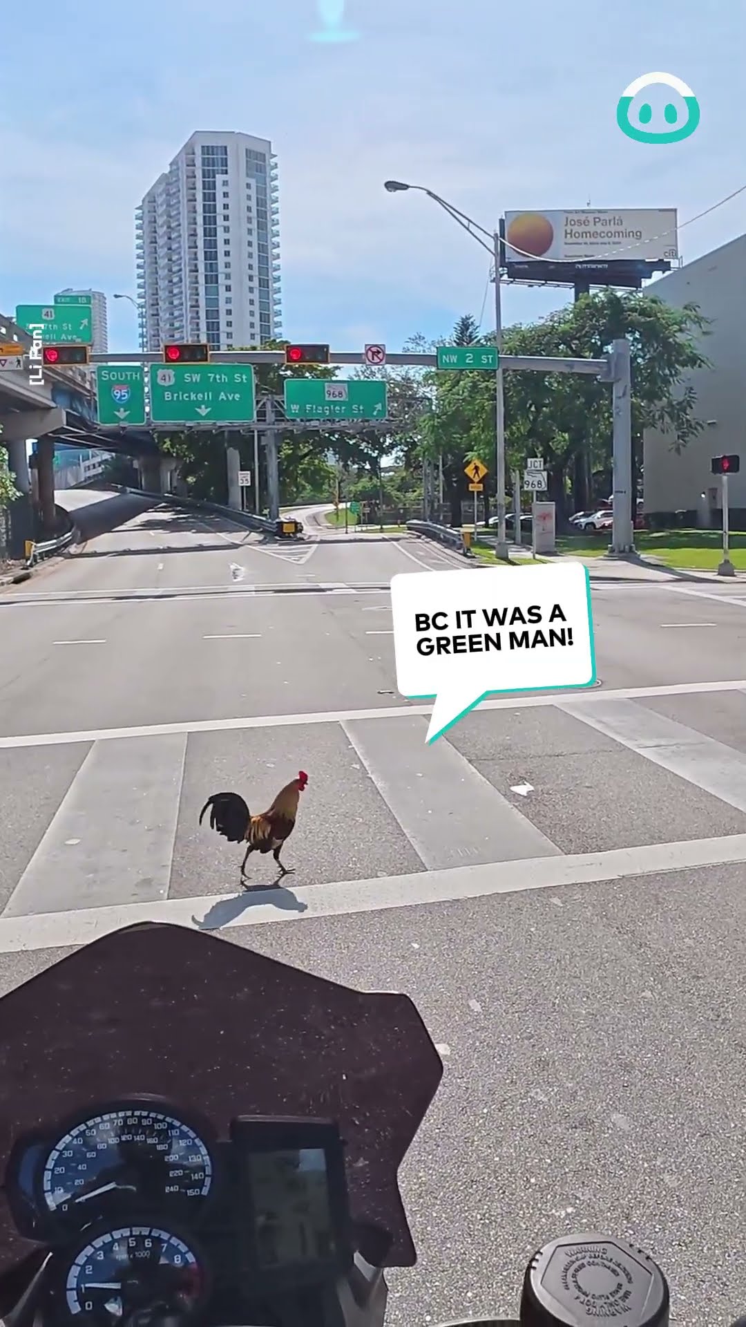 Rooster crosses the road on a red light || ViralHog