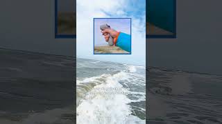 Download Lagu Dat was bijna de camera gek! MP3