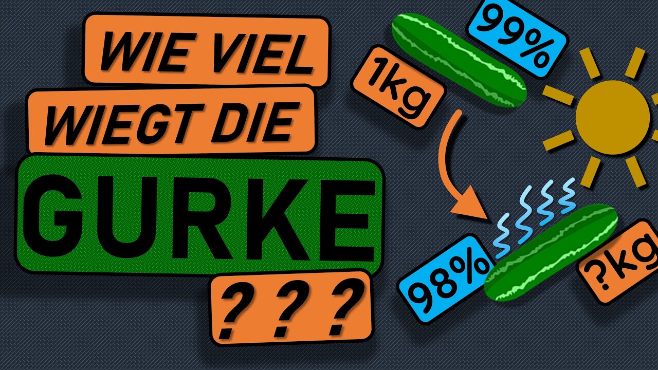 Wie Viel Prozent Wasser Hat Eine Gurke www.youtube.com