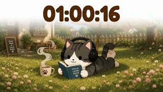 60 Minute Timer 🐱 1 Hr Study Timer for Classroom Focus