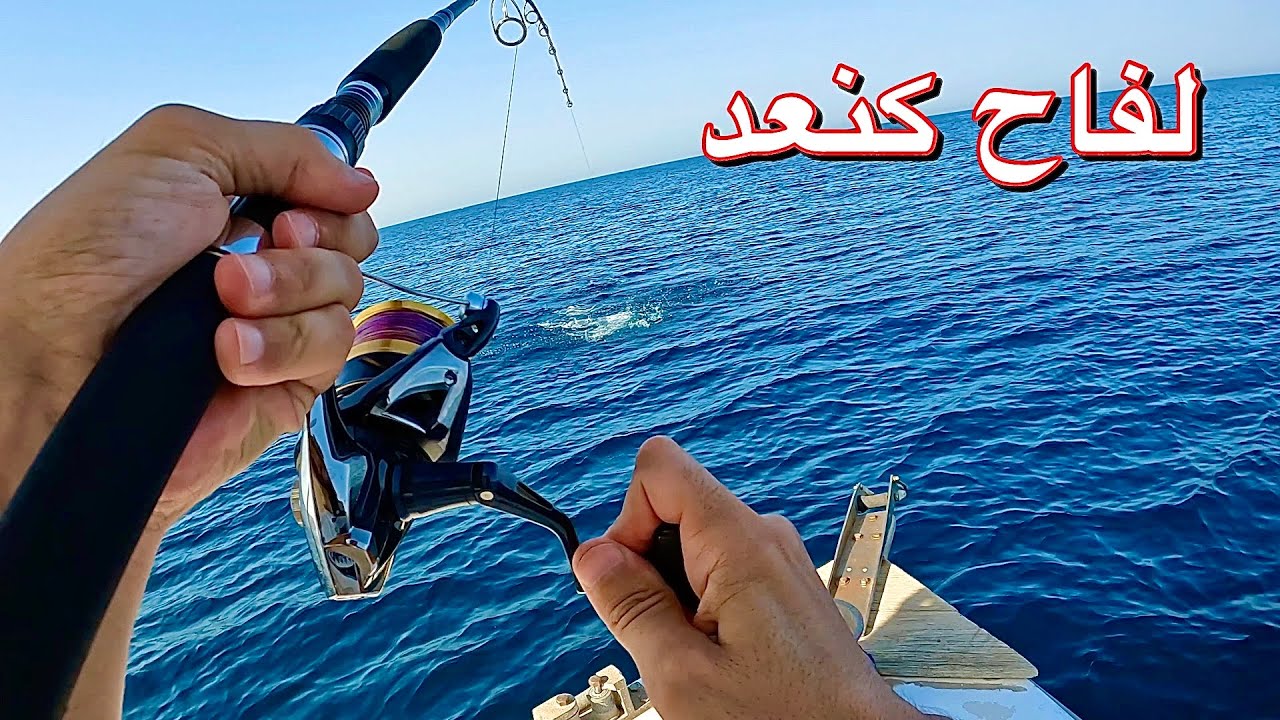 لفاح كنعد اول مقطع في الموسم