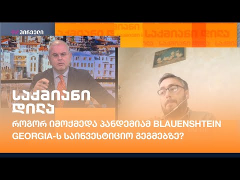 როგორ იმოქმედა პანდემიამ Blauenshtein Georgia-ს საინვესტიციო გეგმებზე?