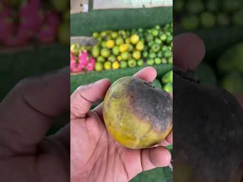 فاكهة في صلاله داخلها كيك خريف صلاله 2023 روايه البنقالي