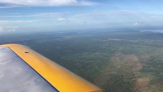 Hummel H5 Morning Flight