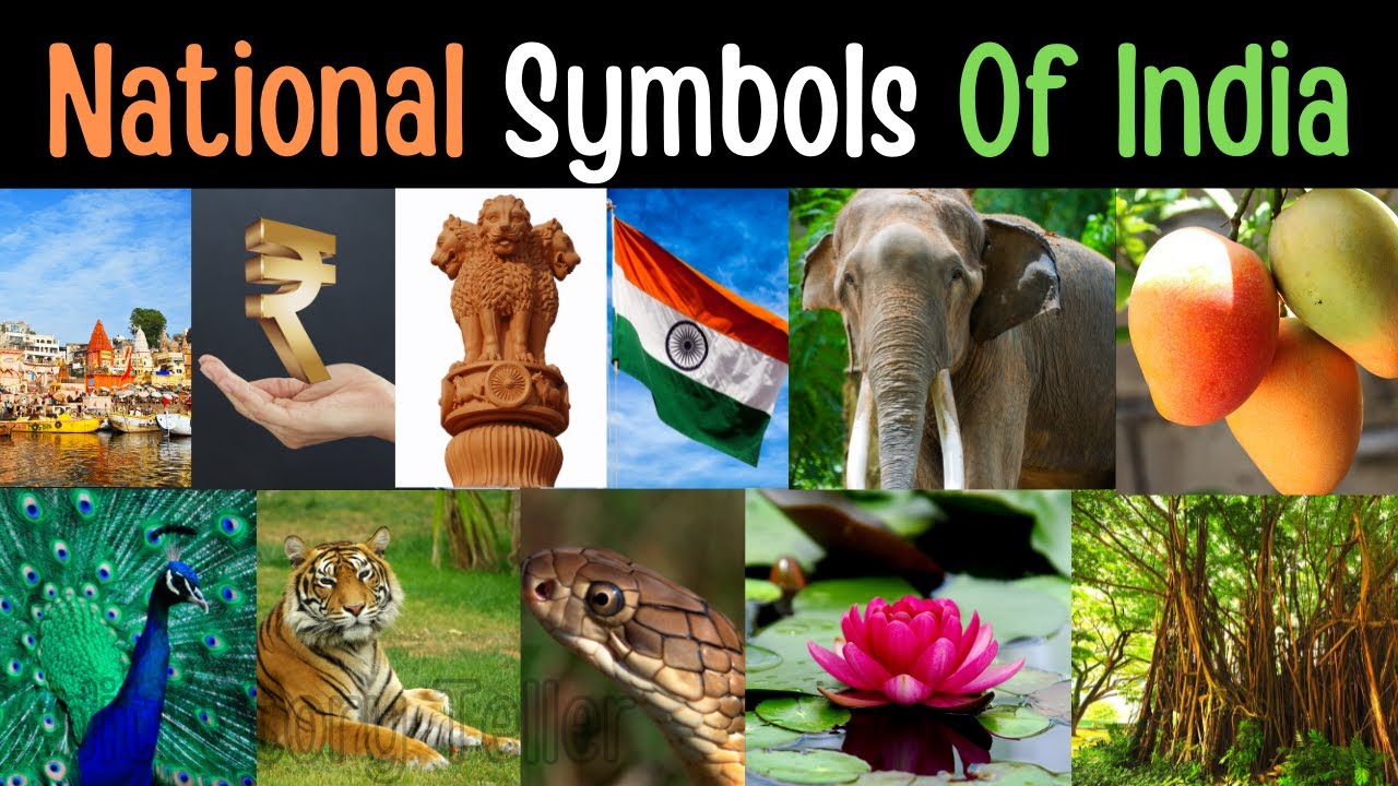 National Symbols of India | National Symbols of India for Kids in ...