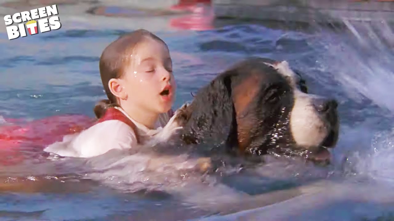 Beethoven Rescues Drowning Girl | Beethoven (1992) | Screen Bites