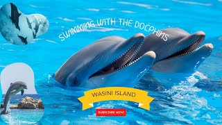 Wasini Island| Swimming With the Dolphins #wasiniisland #dolphins #travelvlog #deepseaadventures