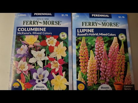 Видео: Ferry Morse Seeds без ГМО ли са?