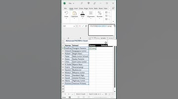 Conditional Filter in Excel with Partial Text