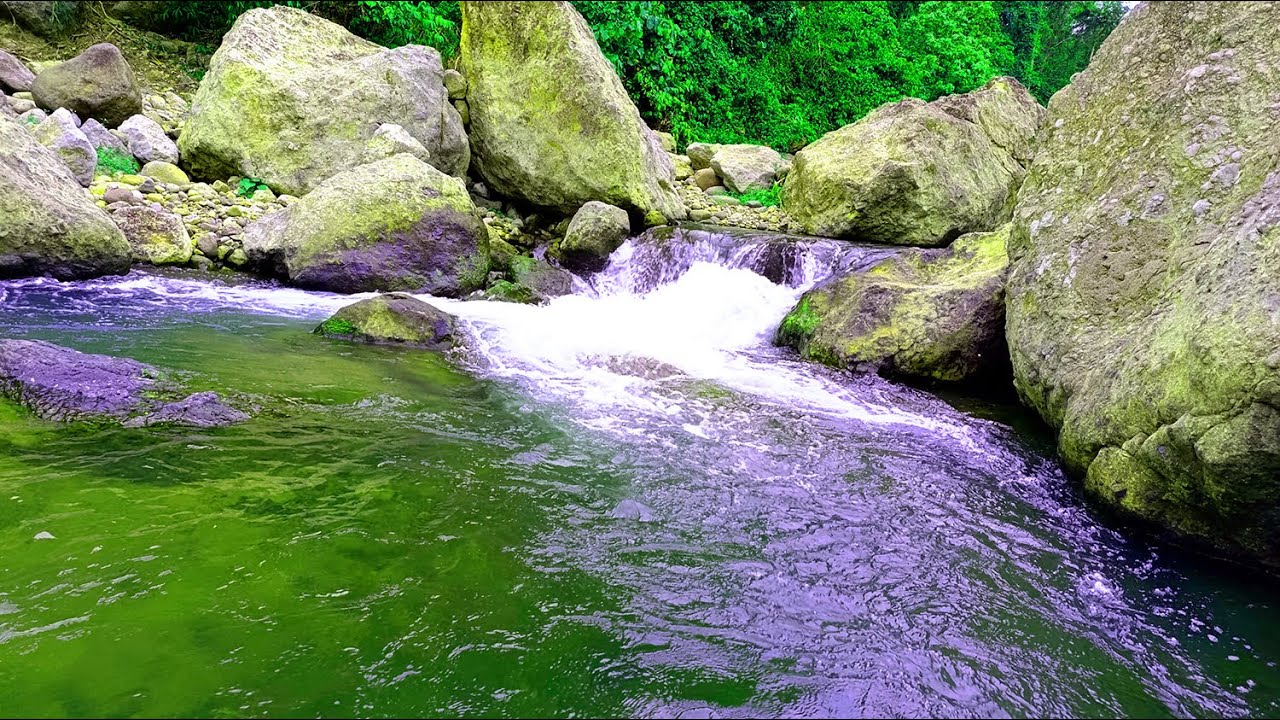 10 Hours Relaxing Nature Sounds for Sleeping - Natural Calm Forest ...