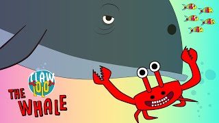 Fun Ocean Music Video! 🎵🎵 Clawlolo 🐋 Whale 🐳  Songs for Kids