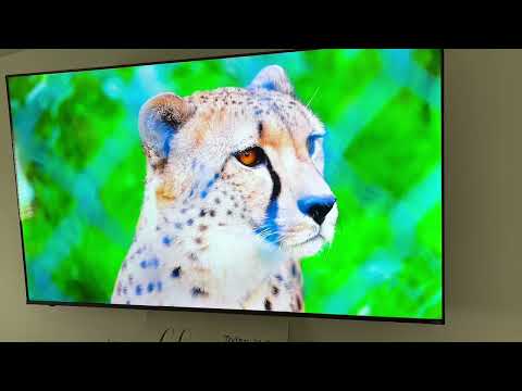 VIZIO 75 inch