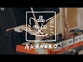 Kan Sano - C&#39;est la vie [ Akaneko PRESENTS LIVE in BEPPU, OITA 2021 ] #shorts