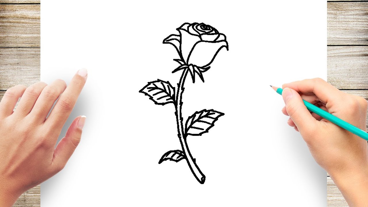 Featured image of post Easy Drawings Of Flowers Rose - How to draw a flower.