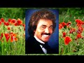 Spread A Little Sunshine Engelbert Humperdinck 