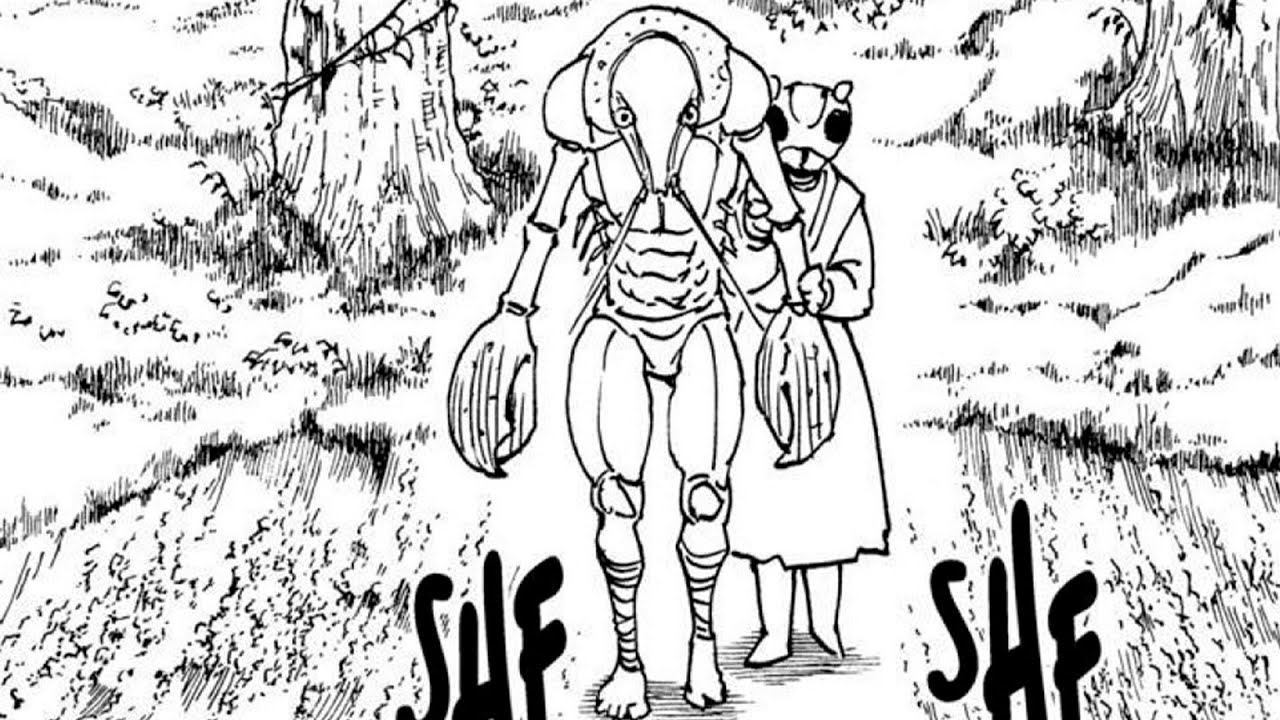 Hunter x Hunter | Chapter 315: Home