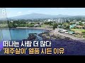 이젠 떠나는 사람 더 많다…'제주살이' 열풍 시든 이유 / SBS