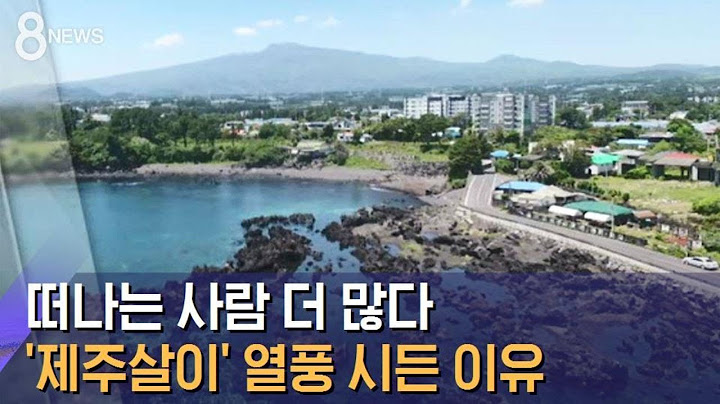 이젠 떠나는 사람 더 많다…'제주살이' 열풍 시든 이유 / SBS