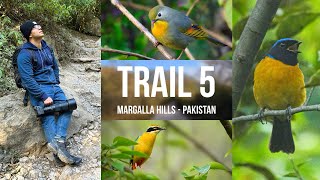 Trail 5 - Margalla Hills | Islamabad - Pakistan #birds