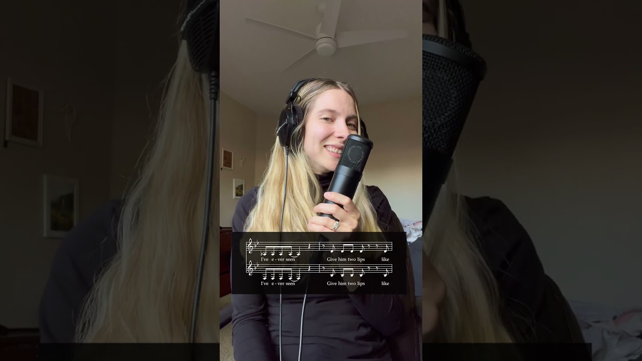 Mr. Sandman Harmony Breakdown