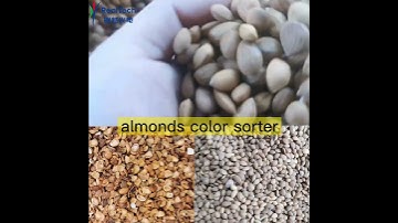almonds color sorting machine sort shell nuts processing machinery