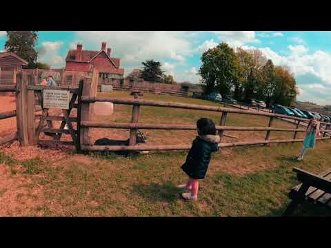 Sheppys Cider farm Somerset