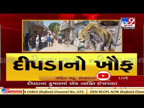 Leopard enters residential area in Gondal, Rajkot | Tv9GujaratiNews