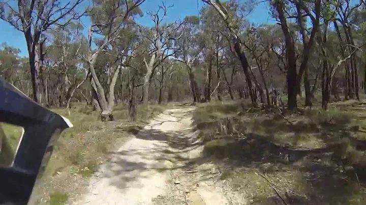 Elaine bush (GoPro)